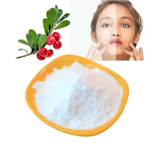 Supply Cas 84380-01-8 Cosmetic Grade Pure 99% Alpha-arbutin Poudre Extract Skin Whitening Products Powder Alpha Arbutin